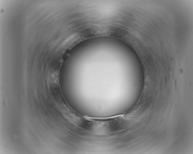 X0000089420096200706291044