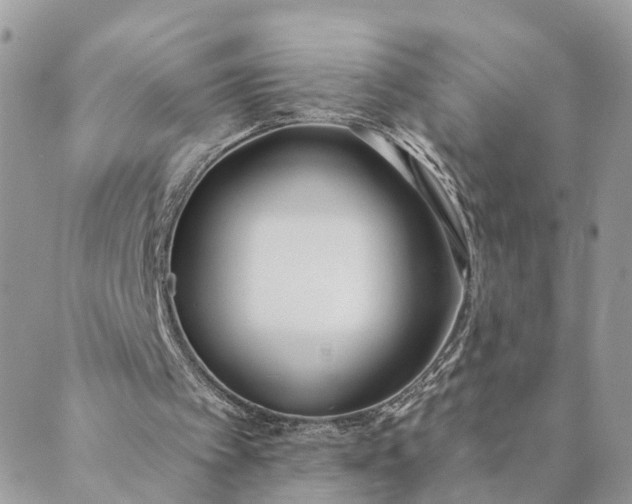 X0000089420097200706291043