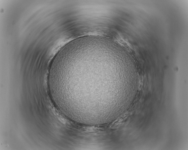 X0000089420098200706291043