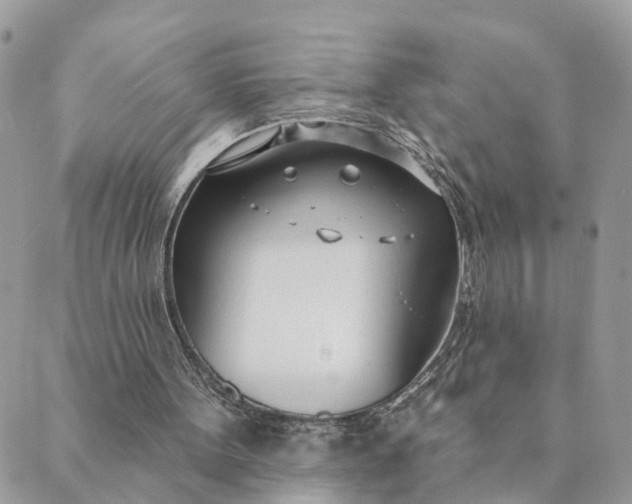 X0000089420099200706291043