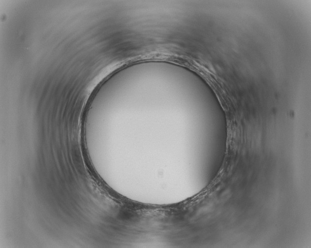 X0000089420100200706291043