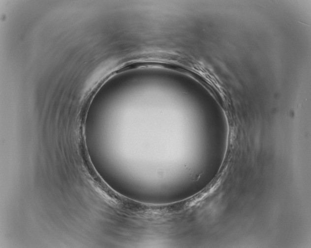 X0000089420101200706291043