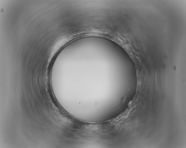 X0000089420102200706291043