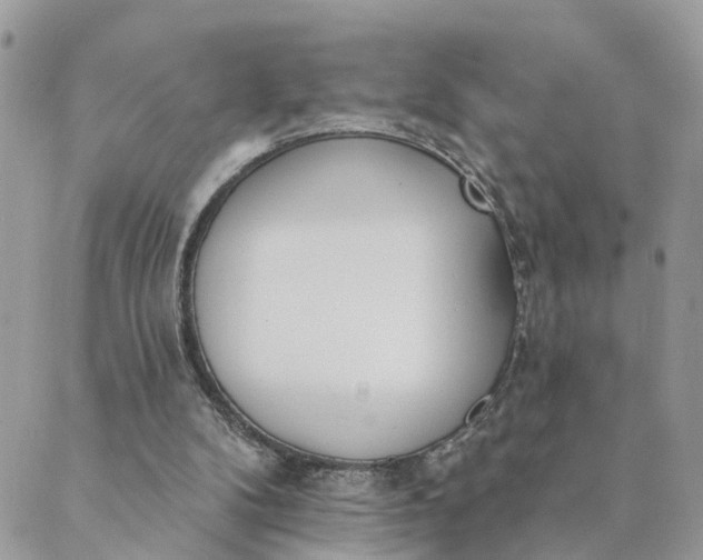 X0000089420104200706291043