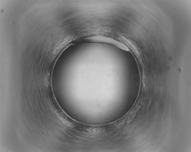 X0000089420105200706291043