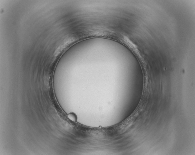 X0000089420106200706291043