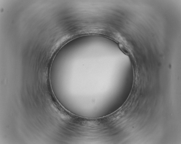 X0000089420107200706291043