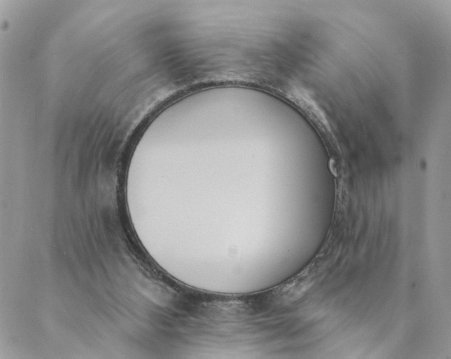 X0000089420108200706291043