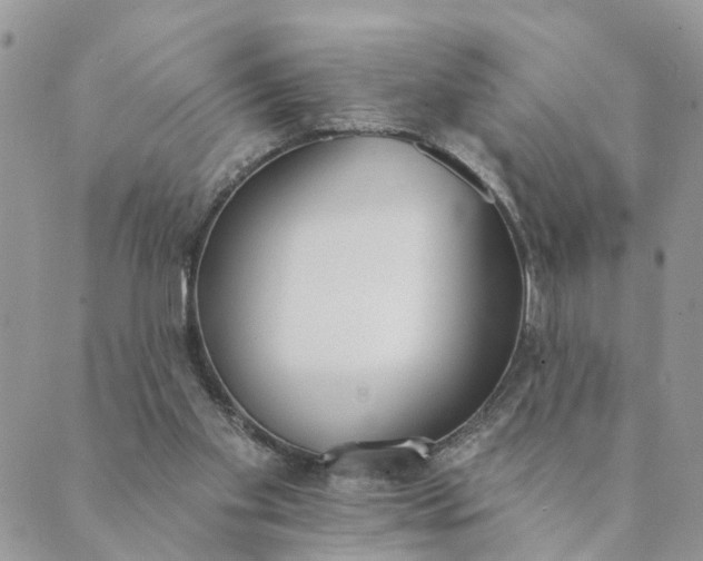 X0000089420109200706291043