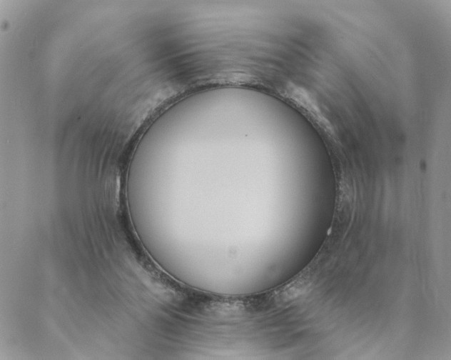 X0000089420110200706291043