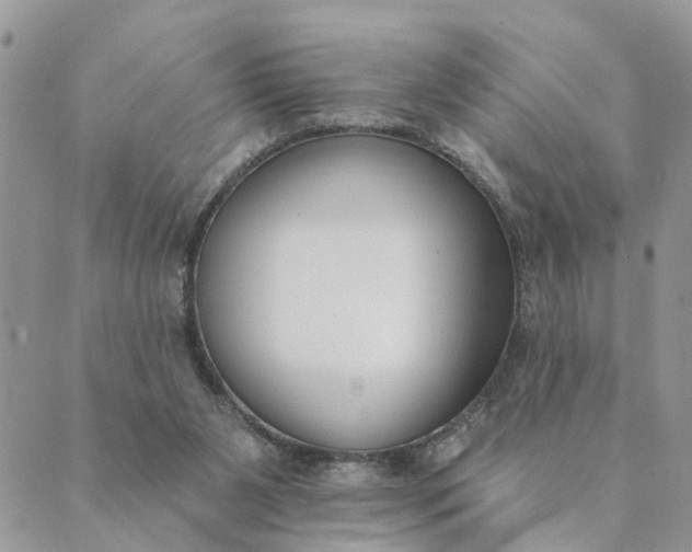 X0000089420111200706291043