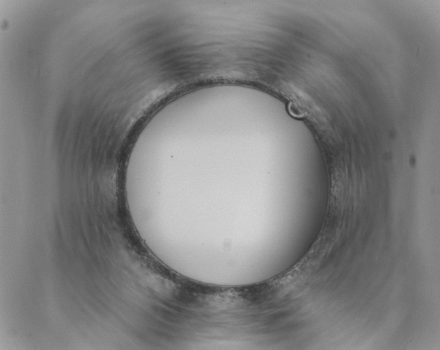 X0000089420112200706291042