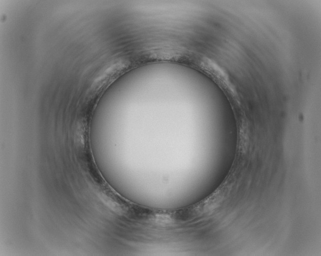 X0000089420114200706291042