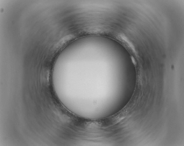 X0000089420115200706291042