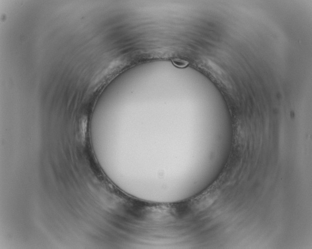 X0000089420118200706291042