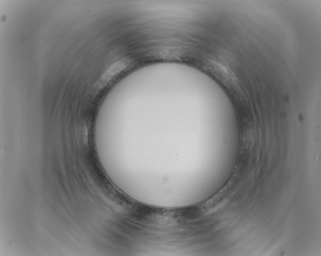 X0000089420120200706291042