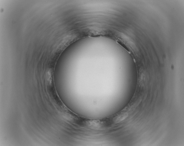 X0000089420121200706291042