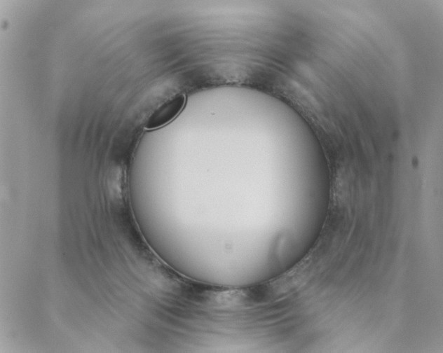 X0000089420122200706291042