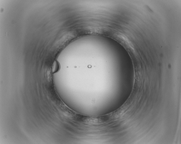 X0000089420123200706291042