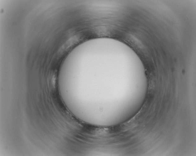 X0000089420124200706291042