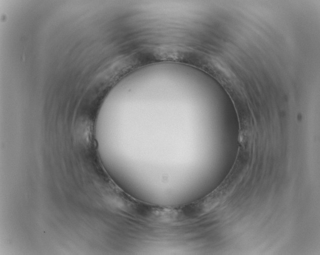 X0000089420125200706291042