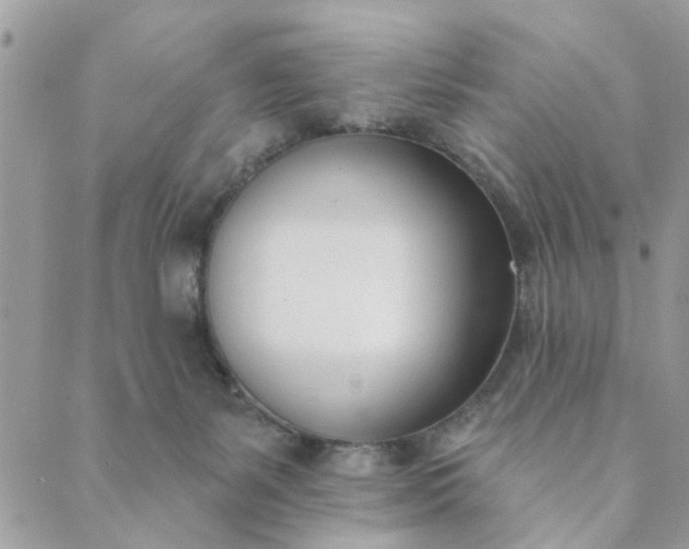 X0000089420127200706291042