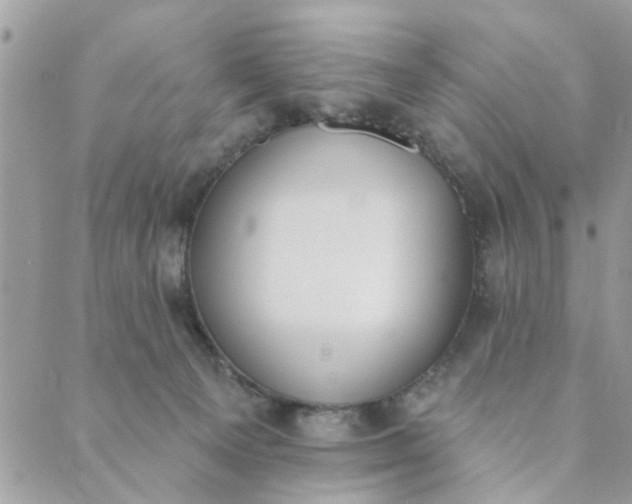 X0000089420129200706291042