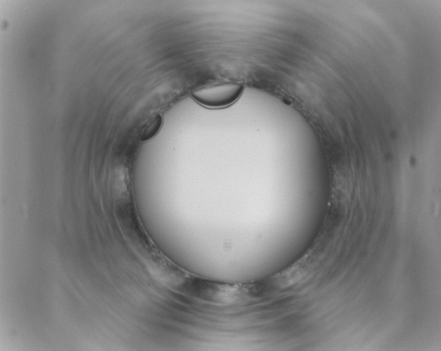 X0000089420130200706291042