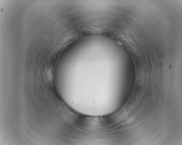 X0000089420131200706291042