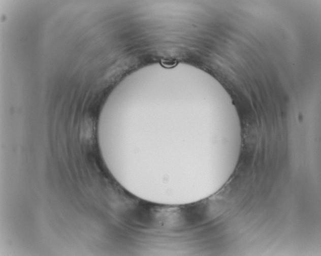 X0000089420132200706291042