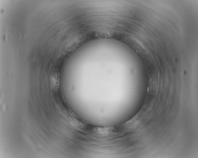 X0000089420134200706291042