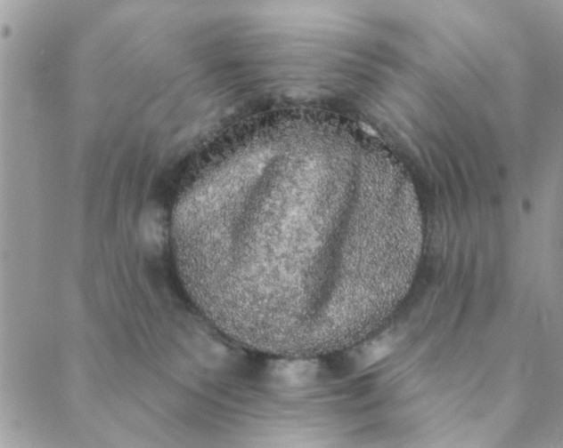 X0000089420135200706291042