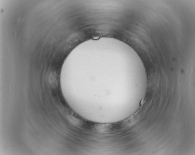 X0000089420136200706291042