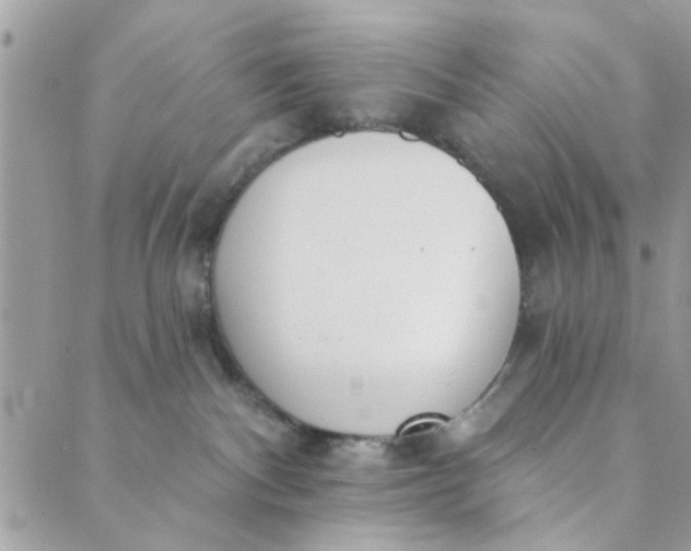 X0000089420140200706291042