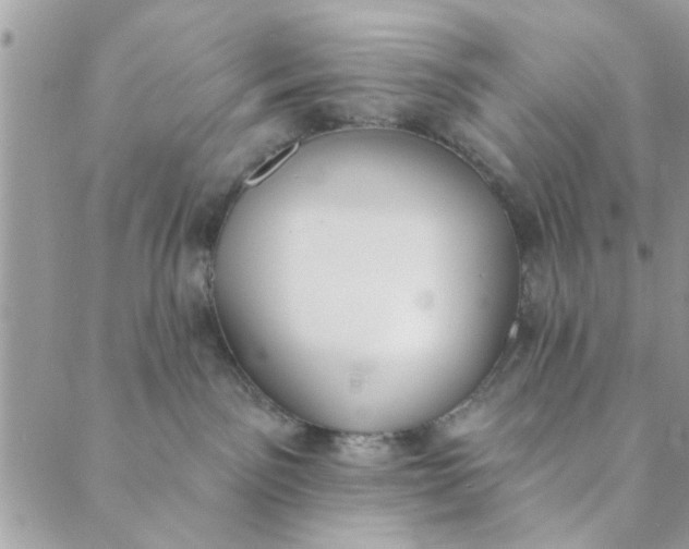 X0000089420141200706291042