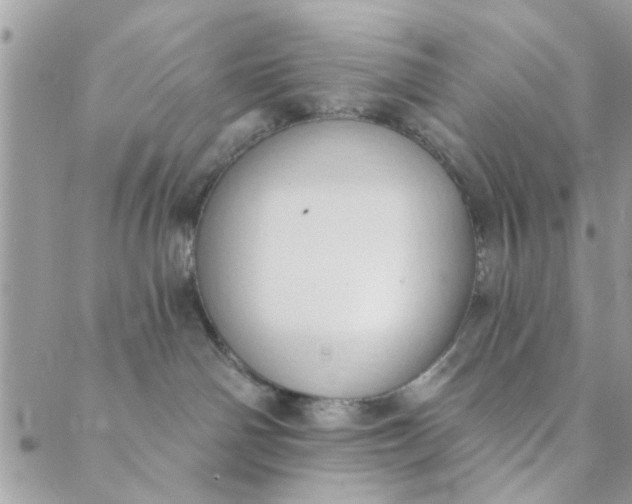 X0000089420142200706291042