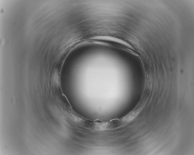 X0000089420143200706291042