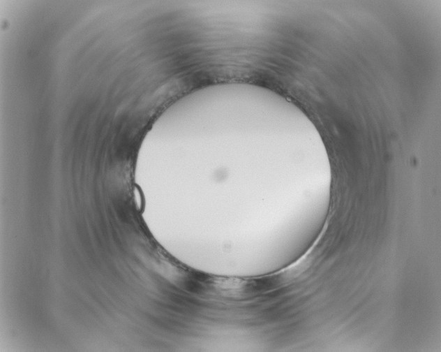 X0000089420144200706291042