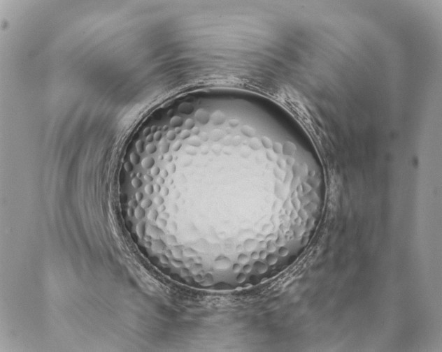 X0000089420145200706291041