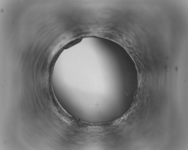 X0000089420150200706291041