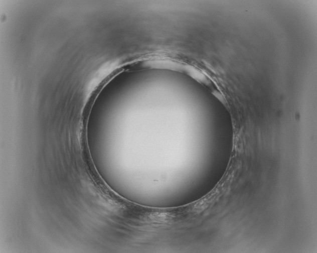 X0000089420152200706291041