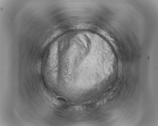 X0000089420153200706291041