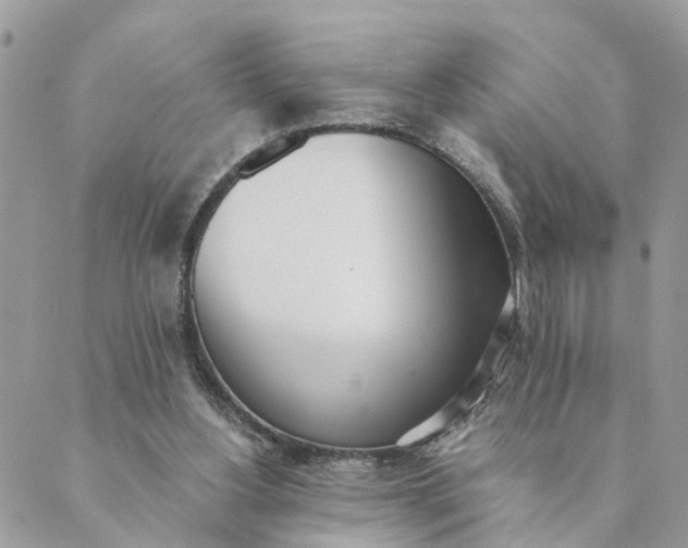 X0000089420156200706291041