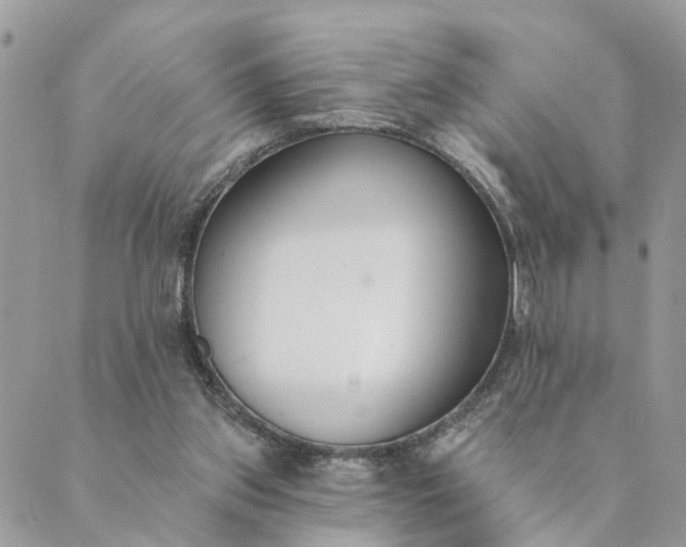 X0000089420157200706291041