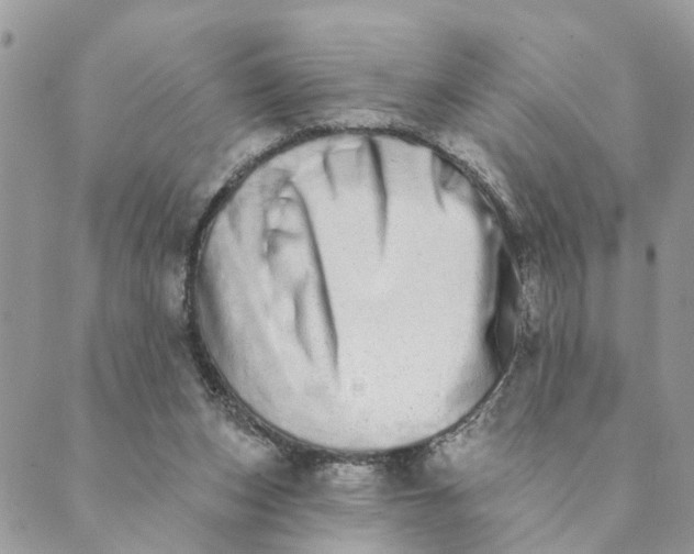 X0000089420159200706291041