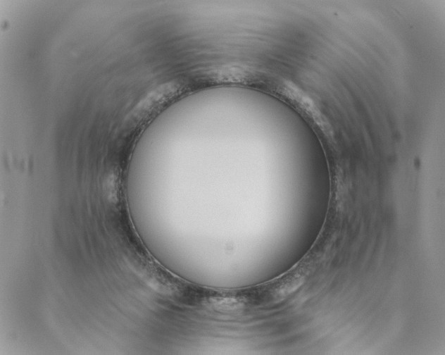 X0000089420161200706291041