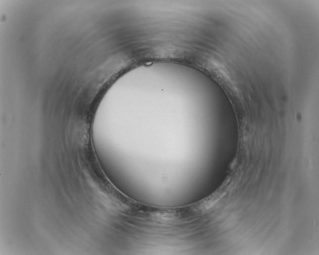 X0000089420164200706291042