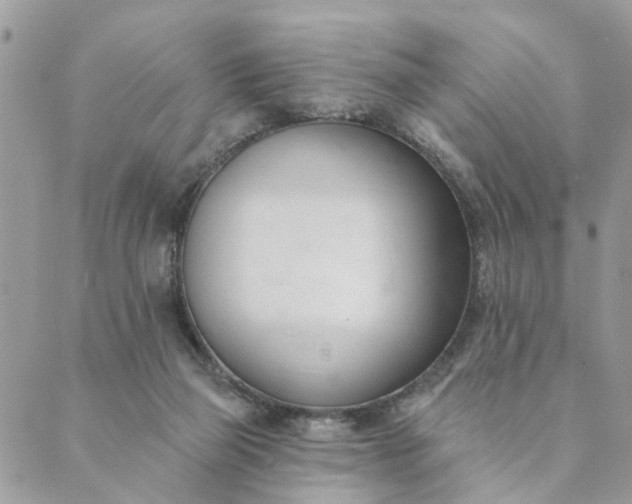 X0000089420165200706291042