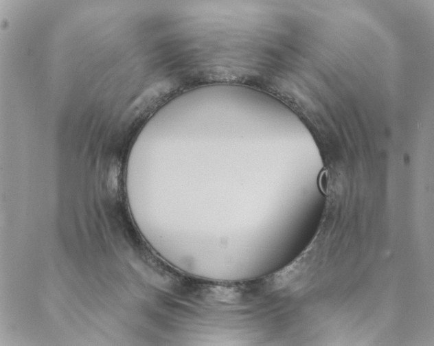 X0000089420166200706291042