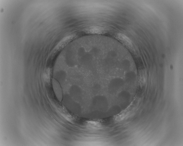 X0000089420167200706291042